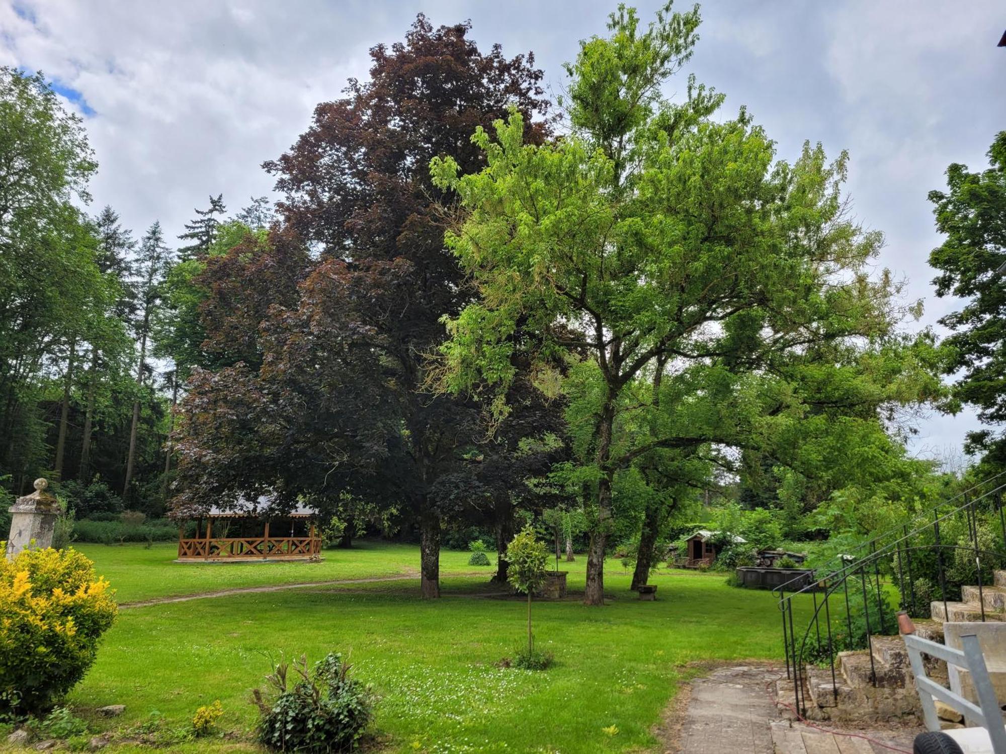 Le Manoir Paradi Presles-et-Thierny エクステリア 写真